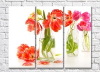 Pictură Gallerix Tulips in glass bottles (500742)