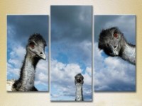 Pictură Magic Color Triptych Ostriches 03 (2699011)
