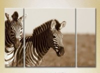 Pictură Magic Color Triptych Pair of zebras sepia (2698993)