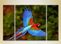 Pictură Magic Color Triptych Parrot Flight (2698995)