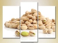 Pictură Magic Color Triptych Pistachios (2698729)