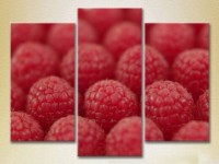 Pictură Magic Color Triptych Raspberry (2698670)