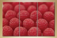 Pictură Magic Color Triptych Raspberry 2 (1547259)