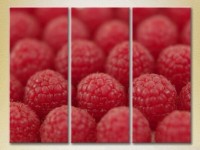 Pictură Magic Color Triptych Raspberry (2698690)