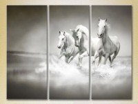 Pictură Magic Color Triptych Three White Horses (2699015)