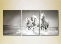 Pictură Magic Color Triptych Three White Horses 02 (2699016)
