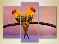 Pictură Magic Color Triptych Two Parrots 01 (2698999)