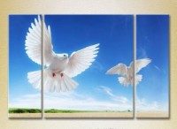 Pictură Magic Color Triptych Two pigeons in flight (2698974)