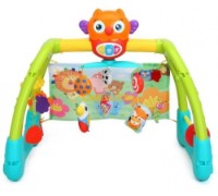 Развивающий набор Hola Toys 5in1 (2105) фото №2 — интернет-магазин Desire.md
