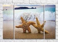 Pictură Magic Color Two starfish on a wave background (3469216)