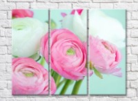 Картина Magic Color White and Pink ranunculus on a Blue background (500066)