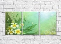 Pictură Magic Color White and yellow plumeria flowers on abstract green background (500065)