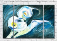 Картина Magic Color White calla lilies on a Turquoise background (3572546)