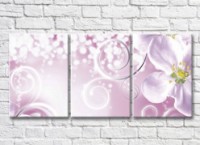 Картина Magic Color White flower and curls on a Pink background (3565222)
