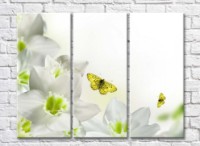 Картина Magic Color White flowers and Yellow butterflies (500082)