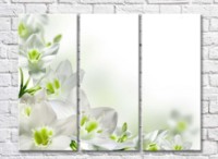 Картина Magic Color White flowers with a Green heart on a White background (500085)