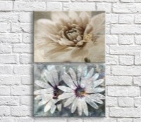 Картина Magic Color White gerberas in retro style, vintage, diptych (3467658)