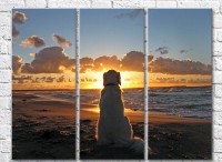 Картина Magic Color White Labrador on the seashore (3469132)