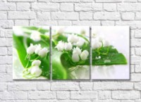 Картина Magic Color White lily of the valley flowers on Green leaves (500075)