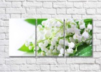 Картина Magic Color White lily of the valley flowers on Green leaves with dew (500084)