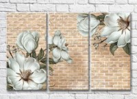 Картина Magic Color White magnolia flowers against a brick wall (3517842)