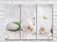 Картина Magic Color White orchid flowers and stones on a wooden background (500076)