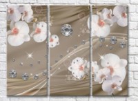 Картина Magic Color White orchid flowers on a Beige background (3517843)