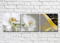 Картина Magic Color White orchid on a Gray background and Gold patterns (3565214)