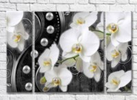 Картина Magic Color White orchid with pearls on a Dark background (3565239)