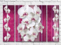 Картина Magic Color White orchids on a Pink background with patterns (3565141)
