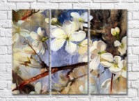 Картина Magic Color White Sakura flowers on the background of branches-drawing (500089)