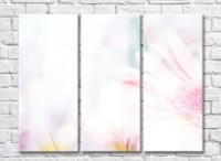 Картина Magic Color White Transparent background with flowers (500090)
