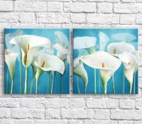 Картина Magic Color White, tall calla lilies on a Blue background, diptych (3467667)