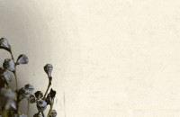 Обои EuroDecor 7091-01 Orenburg фото №3 — интернет-магазин Desire.md