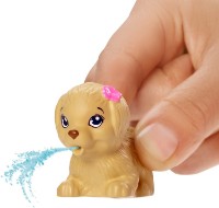 Păpușa Barbie Pool Training (GHK23) imaginea #4 — magazin online Desire.md