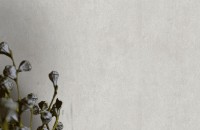 Обои EuroDecor 7106-11 Woods фото №2 — интернет-магазин Desire.md