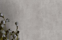 Обои EuroDecor 7106-23 Woods фото №2 — интернет-магазин Desire.md