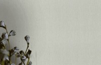 Обои EuroDecor 800548 Cuisine фото №2 — интернет-магазин Desire.md