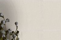 Обои EuroDecor 8021-11 Omega фото №2 — интернет-магазин Desire.md