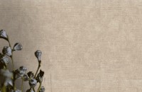 Обои EuroDecor 8023-20 Flow фото №3 — интернет-магазин Desire.md