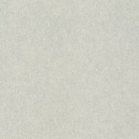 Обои Rasch 957310 Raymond