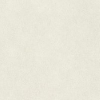 Обои Rasch 957327 Raymond