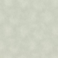 Обои Rasch 957358 Raymond