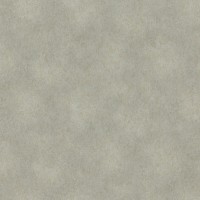 Обои Rasch 957365 Raymond