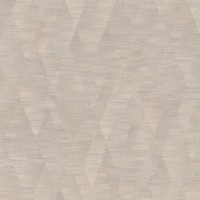 Обои Rasch 960808 Axiom