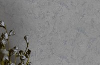 Обои Zambaiti Parati 64820 Elie Saab фото №2 — интернет-магазин Desire.md