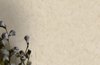 Tapete Zambaiti Parati 64825 Elie Saab imaginea #2 — magazin online Desire.md