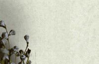 Tapete Zambaiti Parati 64836 Elie Saab imaginea #4 — magazin online Desire.md