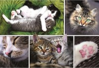 Пазл Trefl 1500 Kittens (26145)