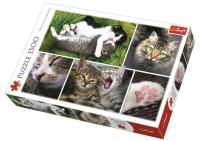 Puzzle Trefl 1500 Kittens (26145) imaginea #2 — magazin online Desire.md